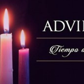 Año de la Misericordia, Adviento y Navidad