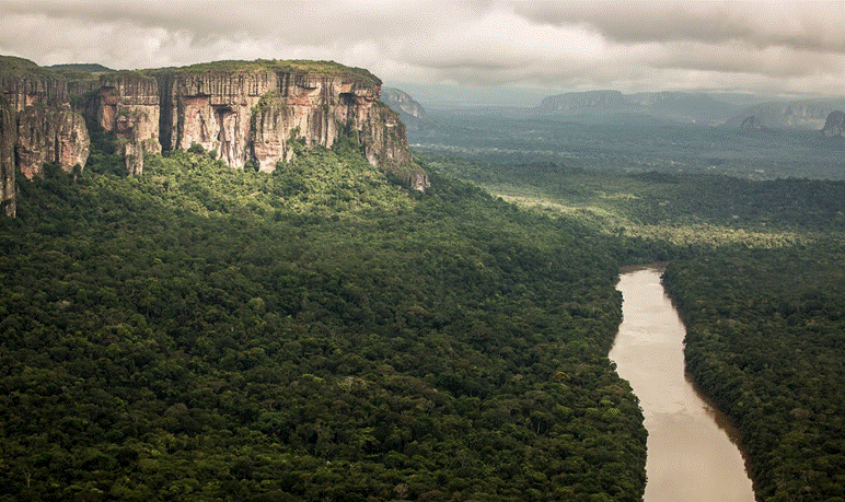 colombia- AVAAZ